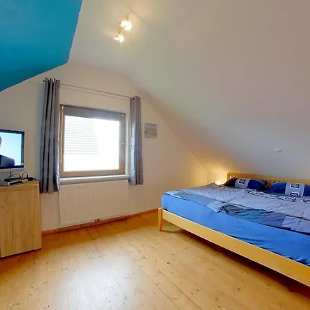 Kw21a Silbermoewe *